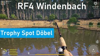 RF4 Trophy Döbel Spot am Windenbach auch mit einfacher Ausrüstung [upl. by Ynohtnaluap]