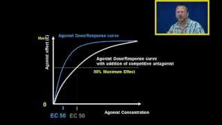 Agonist DR Curves with Competitive and Noncompetitive Antagonist [upl. by Aiekam867]