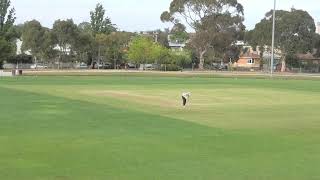 North East 2nd XI 202425  Round 5  Brunswick vs Noble Park  Day 1 [upl. by Glynis]