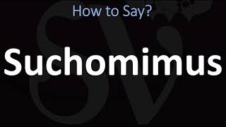 How to Pronounce Suchomimus CORRECTLY [upl. by Eenwat450]