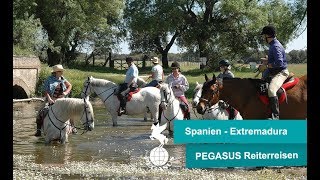 Reiturlaub Spanien  Conquistadores Ritt ðŸŽ ðŸŒž [upl. by Gian]