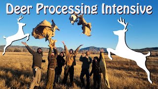 Deer Processing Intensive A twoweek butchering and braintan buckskin immersion [upl. by Maisey187]