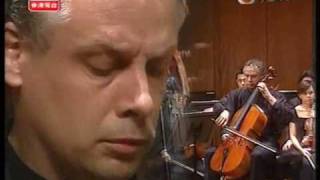 Shostakovich Cello Concerto  2nd mvt Part 1 [upl. by Nilok]