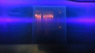 DNA RNA and Protein band Illuminization under UV light [upl. by Parke]