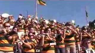 College of William and Mary Fight Song Pep Band [upl. by Rebma375]