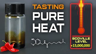 Extracting Capsaicin From Pepper X to Make the Worlds Hottest Sauce [upl. by Keyte]