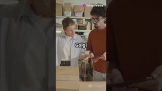 Golgi Apparatus Know About It [upl. by Nanny]