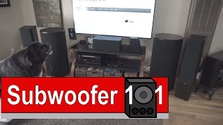 SVS PC 2000 Ported Subwoofer Review wait for itBear Dog [upl. by Lahcim]