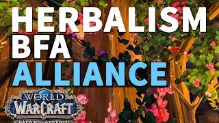 Here In Spirit Herbalism Quest WoW [upl. by Crifasi]