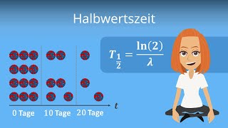 Halbwertszeit berechnen  einfach erklärt [upl. by Egdamlat366]