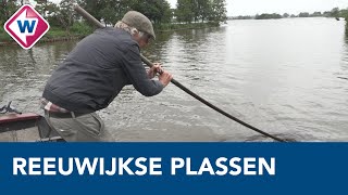 Reeuwijkse Plassen balans zoeken tussen natuur bewoners en recreatie [upl. by Zoltai165]