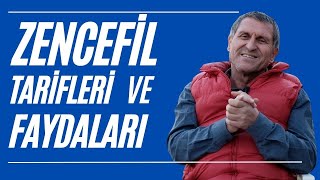 TAZE ZENCEFİLİN FAYDALARI NELERDİR ZECEFİL BAL LİMON TARİFİ ve ÇAYI NASIL YAPILIR [upl. by Letnoj]