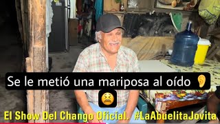 Se le metió una mariposa al oído 👂 y le pega la chiripiorca Don Chuy [upl. by Yung]