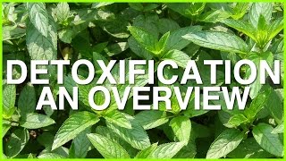 Detoxification an Overview [upl. by Ilam805]