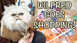 Wilfred goes shopping [upl. by Belayneh]