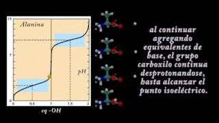 Titulación de Alanina [upl. by Jere]