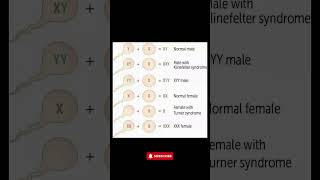 Understanding Chromosomal Disorders Klinefelter Turner Syndrome amp More Explained [upl. by Fanechka]