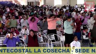 CULTO DE DOCTRINA 11112024 [upl. by Aivartal]