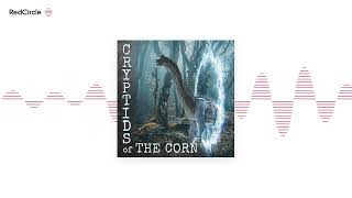 Cryptids Of The Corn 17  Stop Hey Whats That Sound Animals or Cryptids All Around S6 Ep17 [upl. by Ynnot]