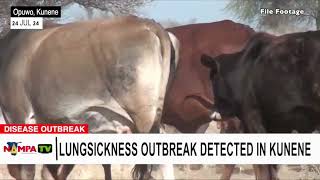 Lung sickness outbreak detected in Kunene  nbc [upl. by Tennes559]