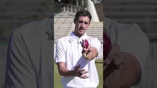 Mitchell starc adive to wicket cricket yorkerking cricketlover ipl [upl. by Kerwinn]