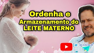 Armazenamento de LEITE MATERNO após ordenha  Como guardar quanto tempo dura o LEITE MATERNO [upl. by Natsuj]