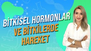 BİTKİSEL HORMONLAR VE BİTKİLERDE HAREKET  Seda Hoca Biyoloji 🧬 ayt2024 [upl. by Sigismond830]