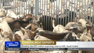 Ethiopia nets 72 million from meat exports to UAE Saudi Arabia [upl. by Schaumberger16]