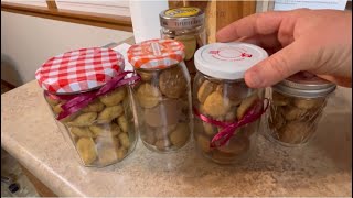 The TRADITIONAL GERMAN and MENNONITE CHRISTMAS cookiePfeffernusse [upl. by Codel]