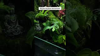 Hujan buatan terrarium 🥶 shorts terrarium [upl. by Glynda]