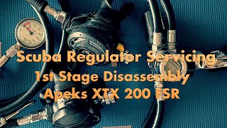 Scuba Regulator Service amp Maintenance  First Stage Apeks FSR XTX200  ASMR  Ep 1  Disassembly [upl. by Aiynat]