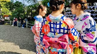 Tokyo Travel Wisteria Flower Festival at Kameido Tenjin Shrine [upl. by Eelimaj]