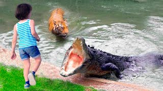 Crocodile Grabs This Girl and Drags Her Into Water No One Could Imagine What Happens Next [upl. by Ivette618]