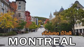 Montreal Autumn Walking Tour  October 2024 [upl. by Benito428]