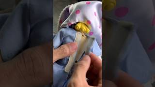 Bo Peep Toy Story shorts toystory viralvideo [upl. by Vedis]