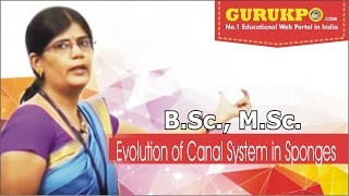 Evolution of Canal System in Sponges BSc amp MSc Zoology GuruKpo [upl. by Mavilia301]