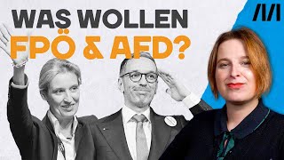 Die Strategie von AfD und FPÖ Immer gegen alles und jeden [upl. by Narak]