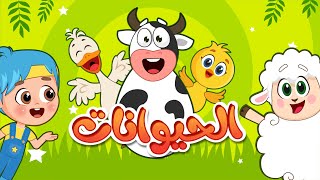 اغنية حيوانات حيوانات اغاني اطفال عالم فلافي  Fluffy World [upl. by Ori]