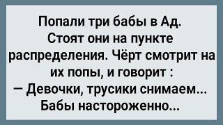 Как Три Бабы в Ад Попали Сборник Свежих Анекдотов Юмор [upl. by Noned909]