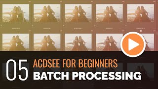 ACDSee for Beginners  05  Batch Processing Images [upl. by Nibroc74]