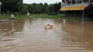 Hochwasser Ditzingen [upl. by Noryt306]