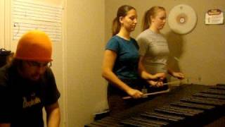 DragonForce Through the Fire and Flames Marimba [upl. by Nnaira]