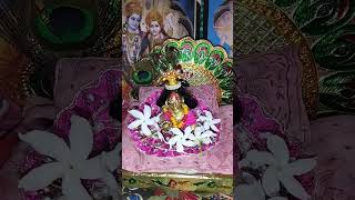 Deen Dayal viradh sambhari harhu nath mam sankat bhari [upl. by Schultz909]