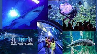 Aquaria KLCC Like Never Before An Insiders Tour [upl. by Ysus323]