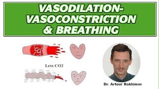 03A VasodilationVasoconstriction Poor Circulation and Breathing Patterns [upl. by Danna]