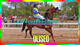 OLISEO  Campo Gallo  Santiago del Estero 23122023 [upl. by Nosdrahcir726]