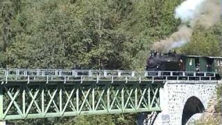 Wälderbähnle Museumsbahn im Bregenzerwald [upl. by Yllah]