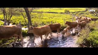 Fête de la Transhumance à Aubrac [upl. by Elehcir201]