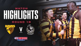 Hawthorn v Collingwood Highlights  Round 19 2024  AFL [upl. by Jamnis]