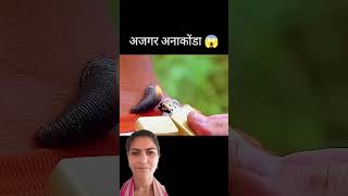 Anaconda 2 full movie Hindi short video📸📸📸📸👍🙏 viral movie [upl. by Bullion]